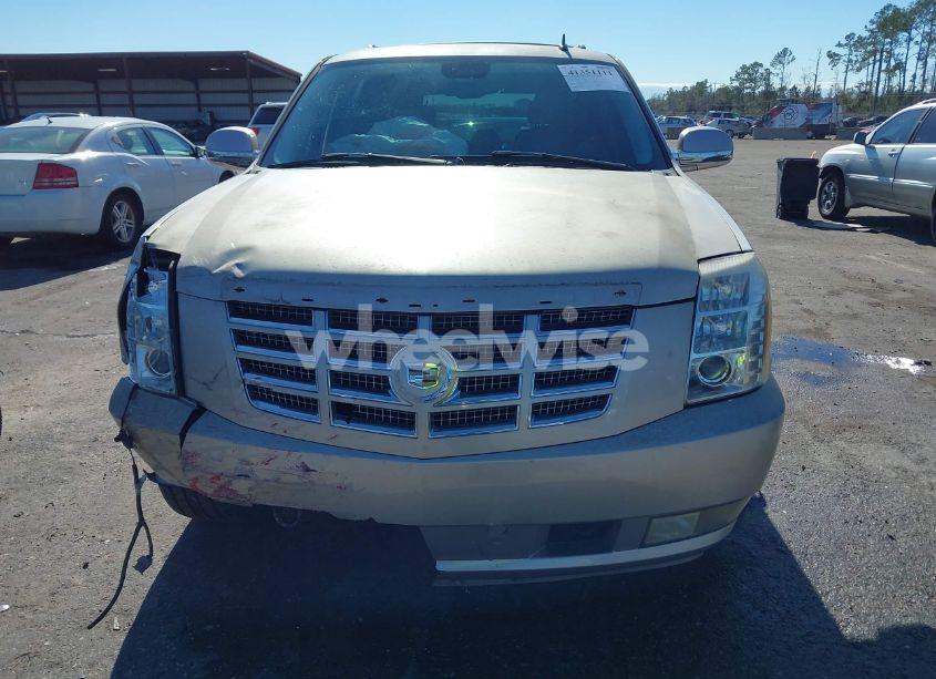 Photo 12 of 2008 Cadillac Escalade STANDARD (VIN 1GYEC63808R109920)