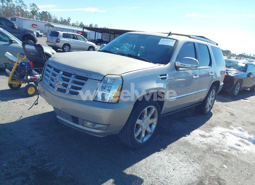 Photo 2 of 2008 Cadillac Escalade STANDARD (VIN 1GYEC63808R109920)