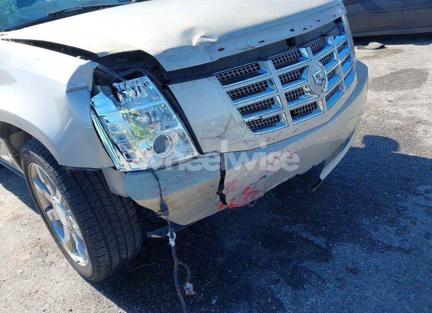 Photo 6 of 2008 Cadillac Escalade STANDARD (VIN 1GYEC63808R109920)