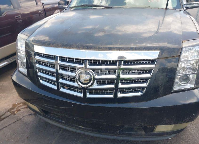 Photo 6 of 2008 Cadillac Escalade STANDARD (VIN 1GYEC63808R146174)