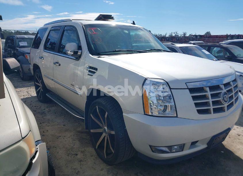 2007 Cadillac Escalade STANDARD (VIN 1GYEC63817R263521) main photo