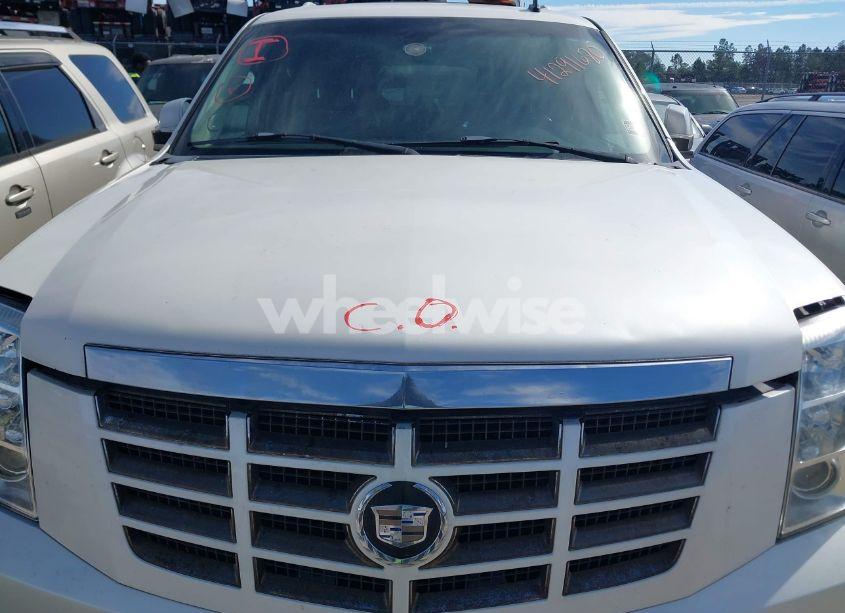 Photo 10 of 2007 Cadillac Escalade STANDARD (VIN 1GYEC63817R263521)