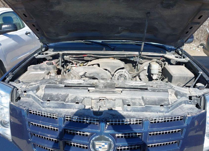 Photo 10 of 2007 Cadillac Escalade STANDARD (VIN 1GYEC63827R368794)