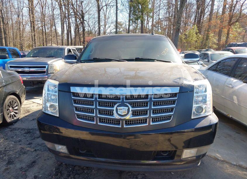 Photo 6 of 2008 Cadillac Escalade STANDARD (VIN 1GYEC63828R134754)