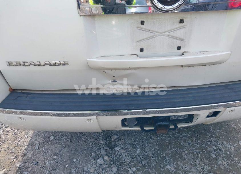Photo 6 of 2007 Cadillac Escalade STANDARD (VIN 1GYEC63837R257896)