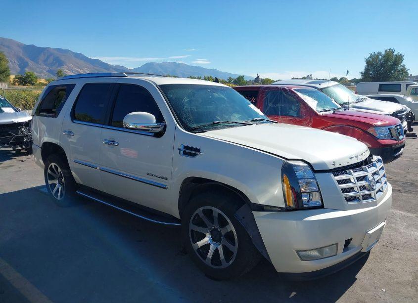 2007 Cadillac Escalade STANDARD (VIN 1GYEC63837R427352) main photo