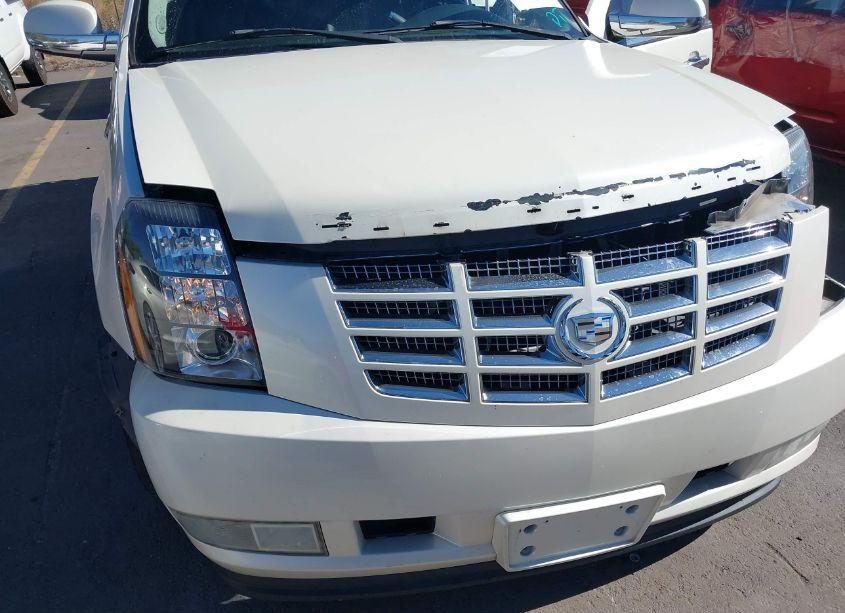 Photo 12 of 2007 Cadillac Escalade STANDARD (VIN 1GYEC63837R427352)