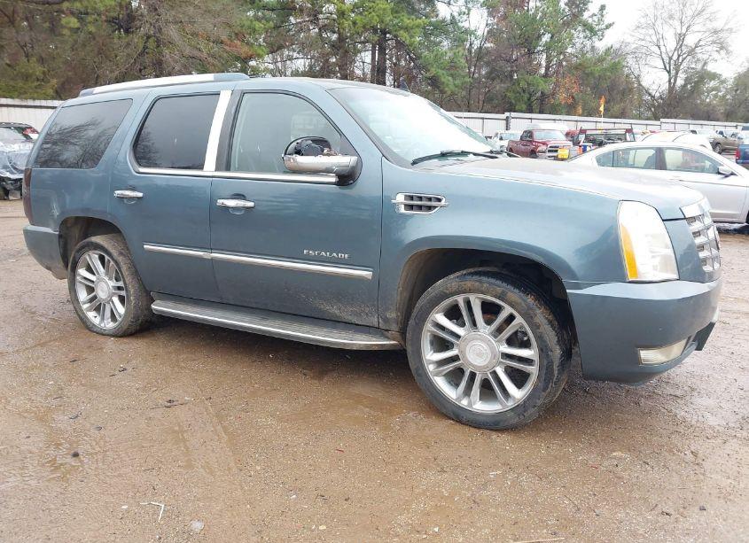 2008 Cadillac Escalade STANDARD (VIN 1GYEC63838R167052) main photo