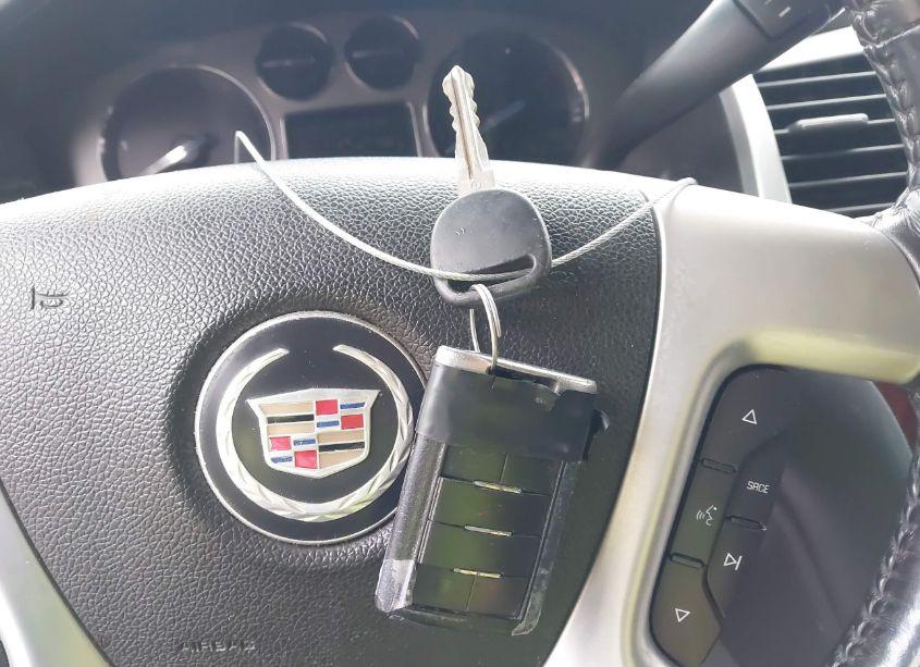 Photo 11 of 2008 Cadillac Escalade STANDARD (VIN 1GYEC63838R167052)