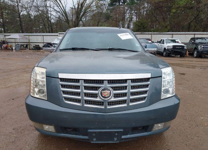 Photo 6 of 2008 Cadillac Escalade STANDARD (VIN 1GYEC63838R167052)