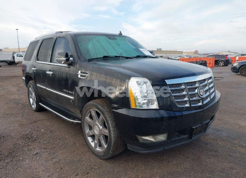 2008 Cadillac Escalade STANDARD (VIN 1GYEC63848R185933) main photo