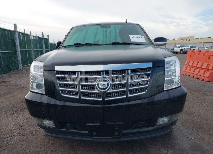 Photo 12 of 2008 Cadillac Escalade STANDARD (VIN 1GYEC63848R185933)