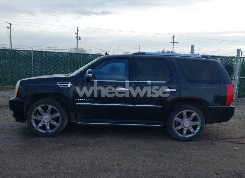 Photo 14 of 2008 Cadillac Escalade STANDARD (VIN 1GYEC63848R185933)