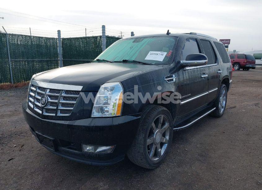 Photo 2 of 2008 Cadillac Escalade STANDARD (VIN 1GYEC63848R185933)