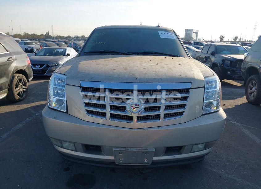 Photo 11 of 2008 Cadillac Escalade STANDARD (VIN 1GYEC63848R186256)