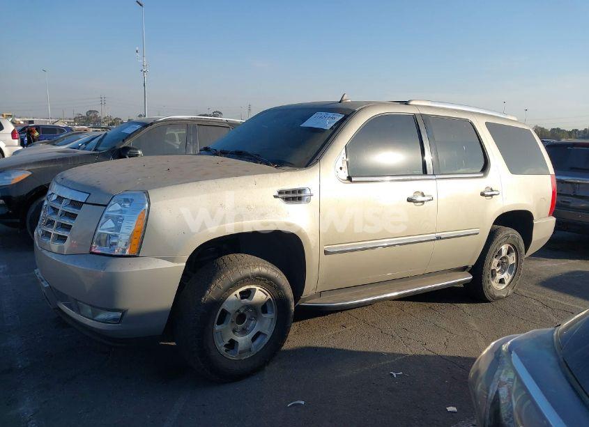 Photo 13 of 2008 Cadillac Escalade STANDARD (VIN 1GYEC63848R186256)