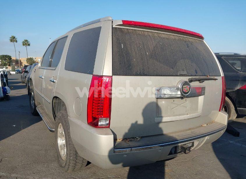 Photo 3 of 2008 Cadillac Escalade STANDARD (VIN 1GYEC63848R186256)