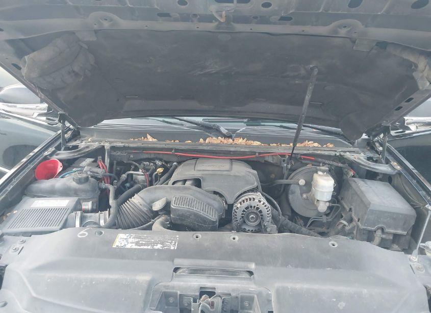 Photo 10 of 2008 Cadillac Escalade STANDARD (VIN 1GYEC63858R135753)