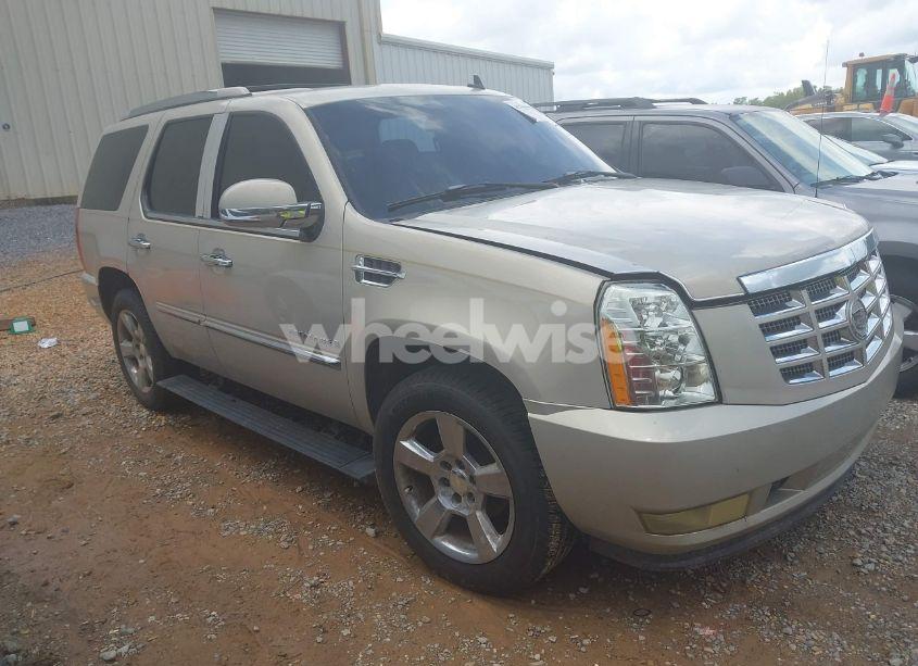 2008 Cadillac Escalade STANDARD (VIN 1GYEC63858R175007) main photo