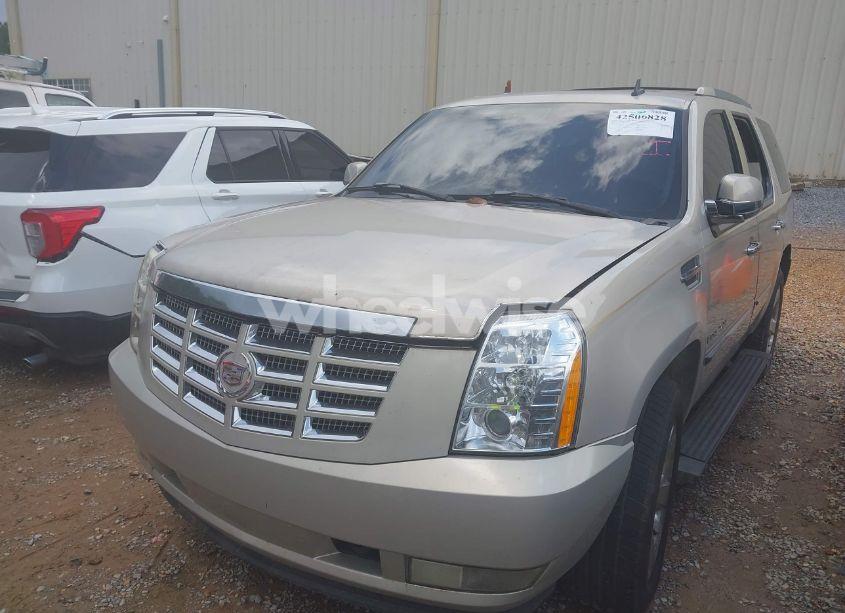 Photo 2 of 2008 Cadillac Escalade STANDARD (VIN 1GYEC63858R175007)