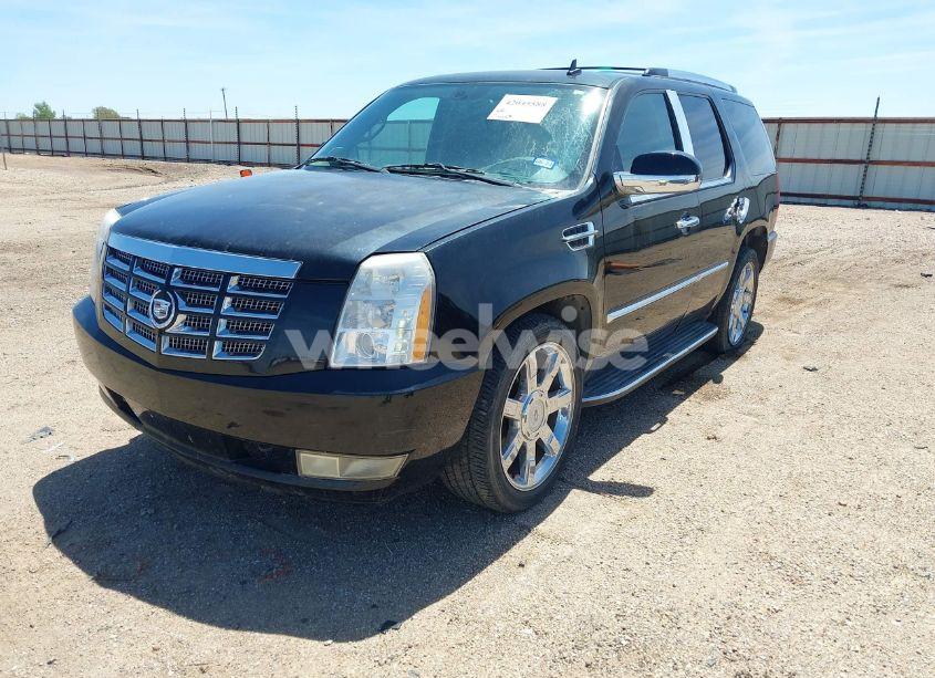 Photo 2 of 2008 Cadillac Escalade STANDARD (VIN 1GYEC63858R217384)