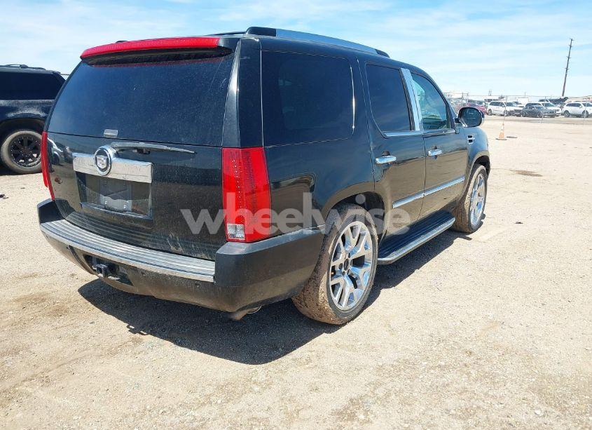 Photo 4 of 2008 Cadillac Escalade STANDARD (VIN 1GYEC63858R217384)