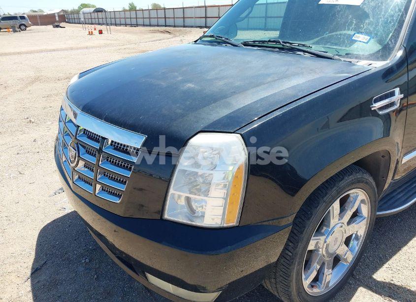 Photo 6 of 2008 Cadillac Escalade STANDARD (VIN 1GYEC63858R217384)