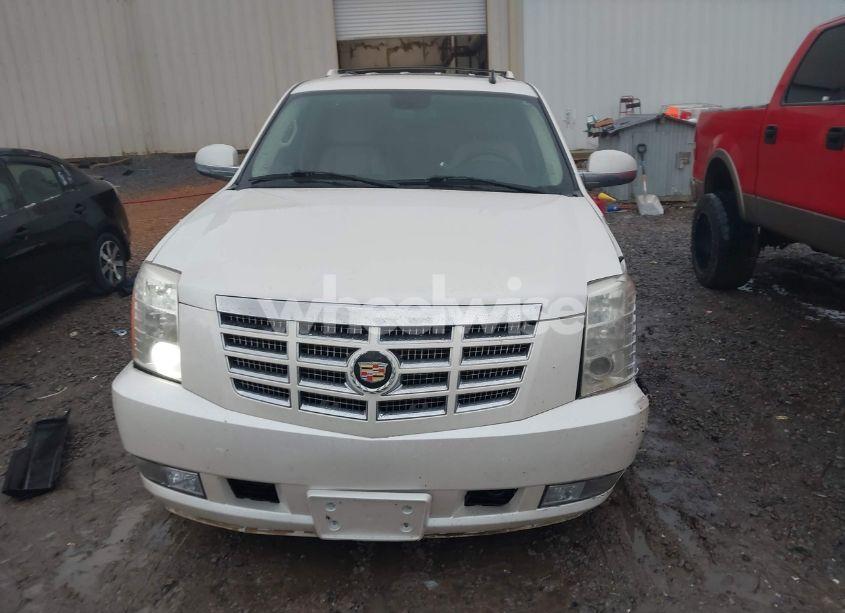 Photo 12 of 2007 Cadillac Escalade STANDARD (VIN 1GYEC63887R256789)