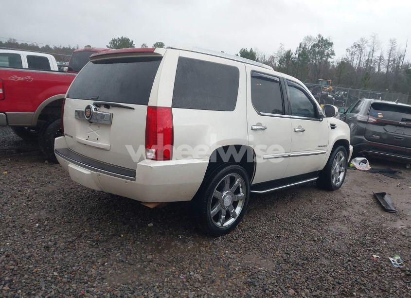 Photo 4 of 2007 Cadillac Escalade STANDARD (VIN 1GYEC63887R256789)