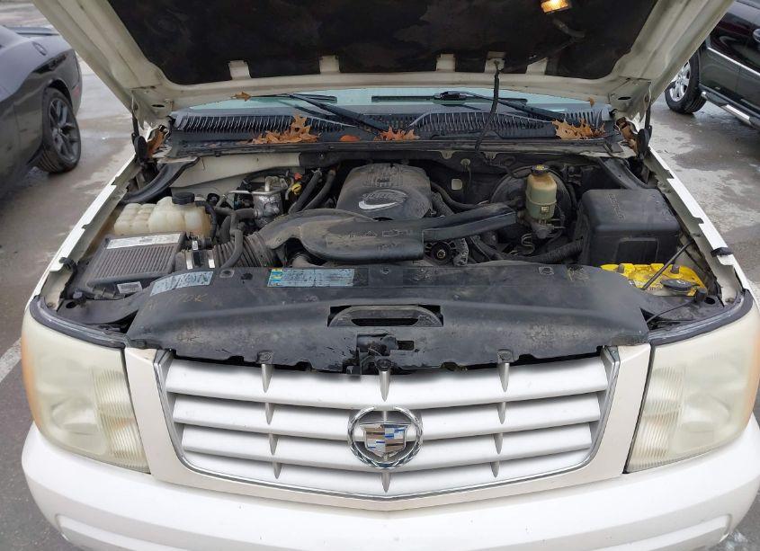 Photo 10 of 2002 Cadillac Escalade STANDARD (VIN 1GYEC63T62R255752)