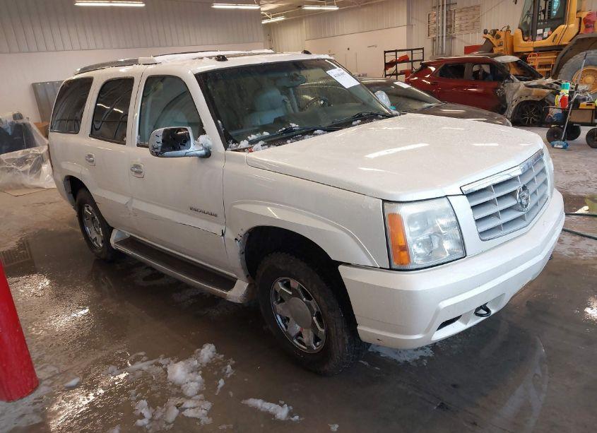 2005 Cadillac Escalade STANDARD (VIN 1GYEK63N15R102009) main photo