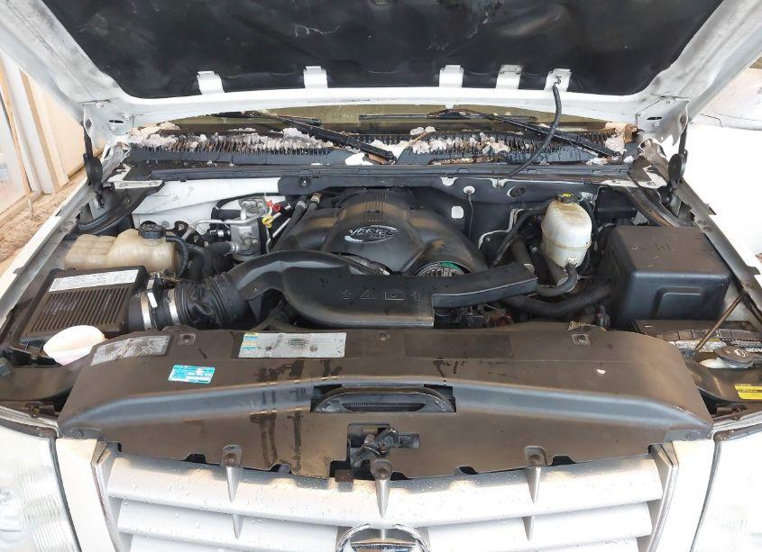 Photo 10 of 2005 Cadillac Escalade STANDARD (VIN 1GYEK63N15R102009)