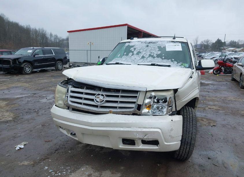 Photo 6 of 2005 Cadillac Escalade STANDARD (VIN 1GYEK63N25R274193)
