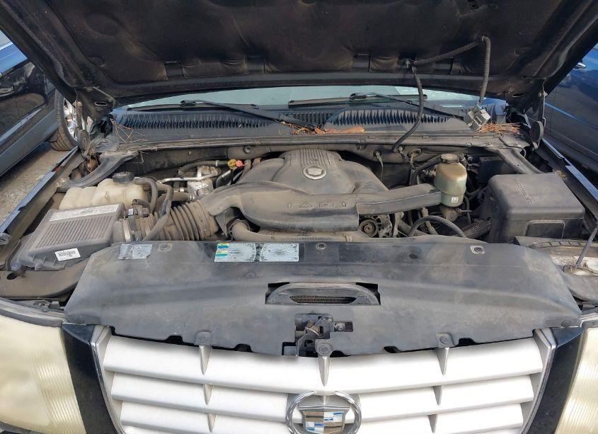 Photo 10 of 2002 Cadillac Escalade STANDARD (VIN 1GYEK63N62R213425)