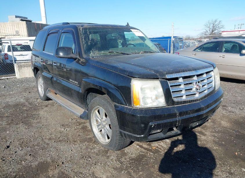 2006 Cadillac Escalade STANDARD (VIN 1GYEK63NX6R110465) main photo