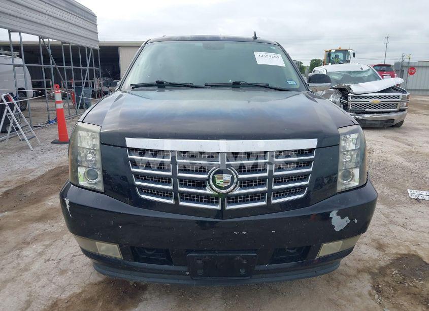 Photo 13 of 2009 Cadillac Escalade STANDARD (VIN 1GYFC13249R120682)