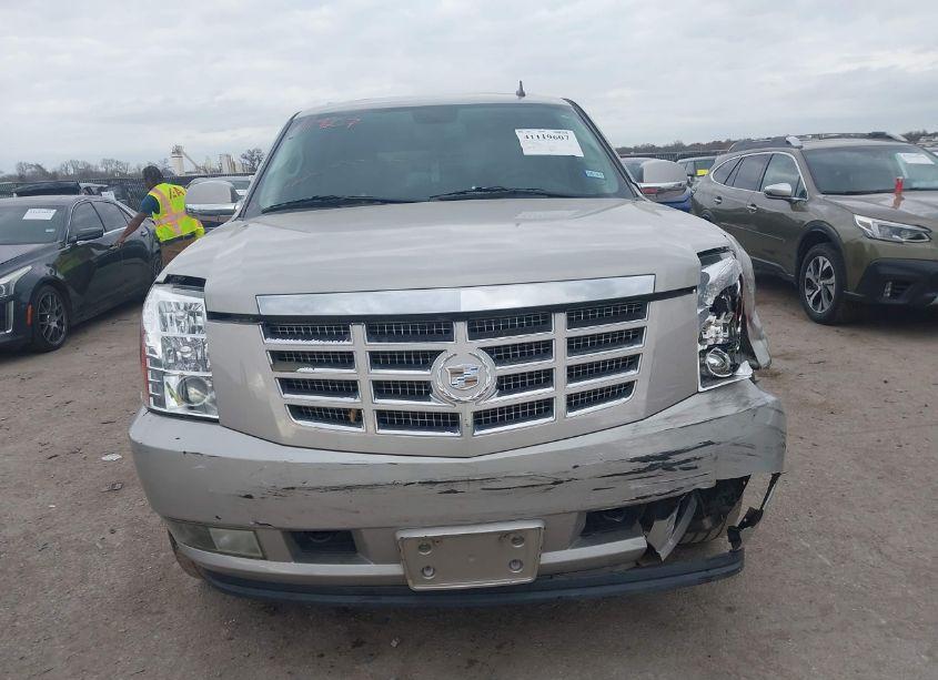 Photo 12 of 2009 Cadillac Escalade STANDARD (VIN 1GYFC13279R149254)