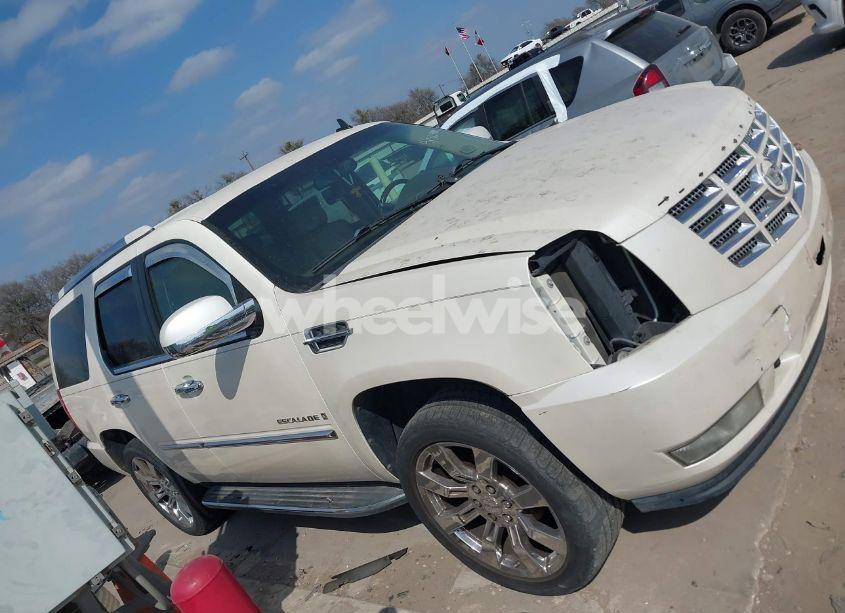 Photo 13 of 2009 Cadillac Escalade STANDARD (VIN 1GYFC23299R112891)