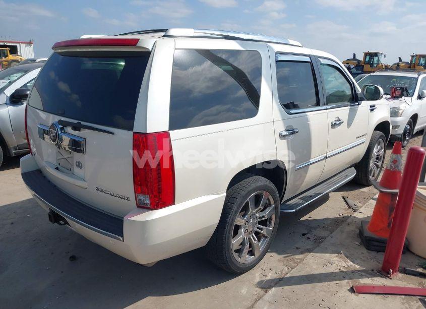 Photo 4 of 2009 Cadillac Escalade STANDARD (VIN 1GYFC23299R112891)