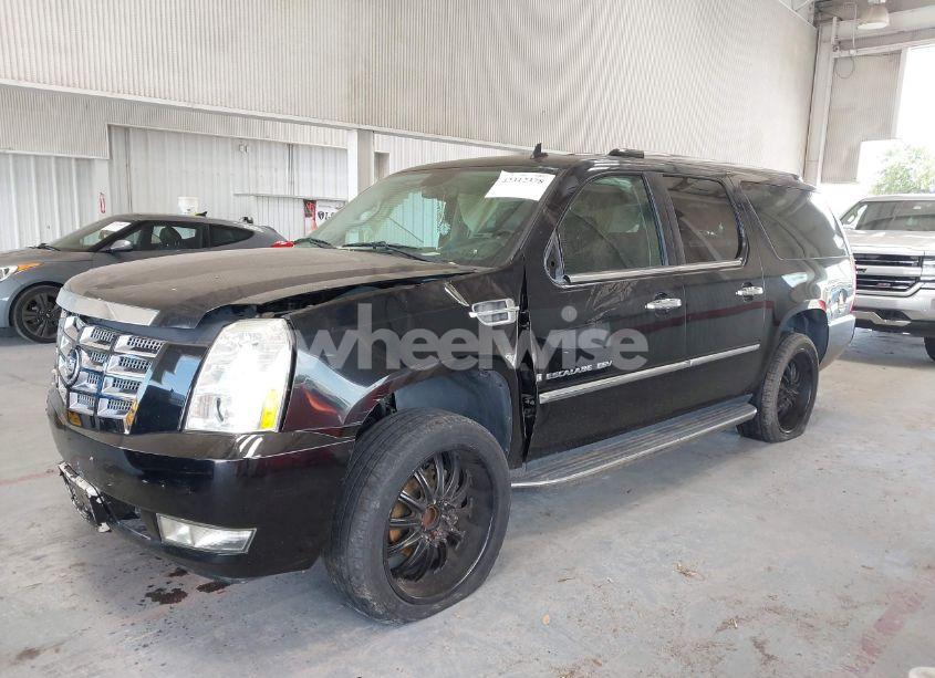 Photo 15 of 2008 Cadillac Escalade ESV STANDARD (VIN 1GYFC66888R205407)