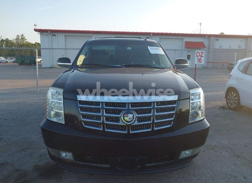 Photo 12 of 2009 Cadillac Escalade STANDARD (VIN 1GYFK13259R152009)