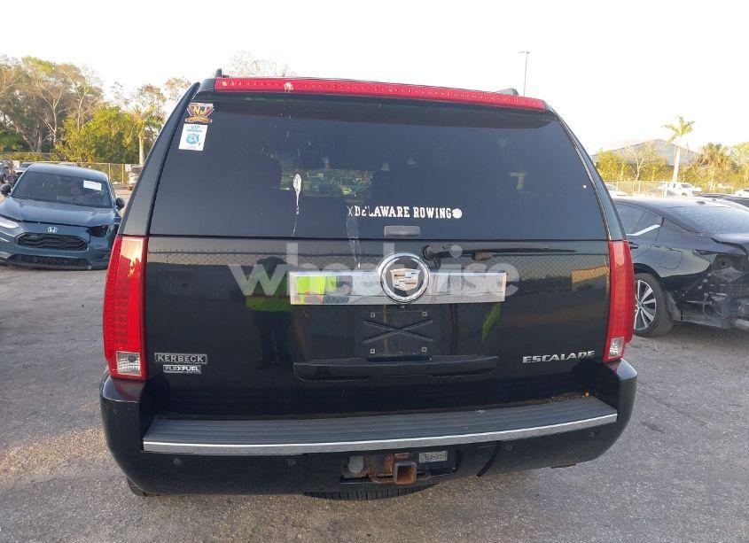 Photo 16 of 2009 Cadillac Escalade STANDARD (VIN 1GYFK13259R152009)