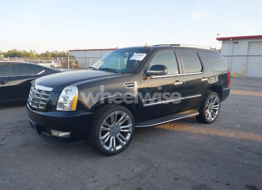 Photo 2 of 2009 Cadillac Escalade STANDARD (VIN 1GYFK13259R152009)