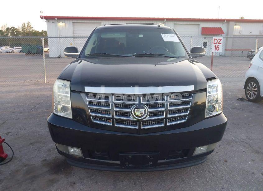 Photo 6 of 2009 Cadillac Escalade STANDARD (VIN 1GYFK13259R152009)