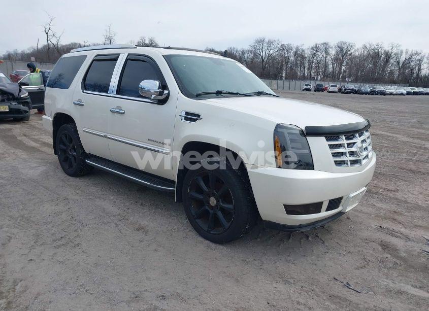 2009 Cadillac Escalade STANDARD (VIN 1GYFK13259R226366) main photo