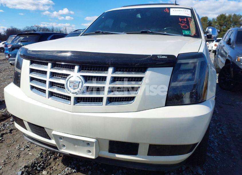 Photo 18 of 2009 Cadillac Escalade STANDARD (VIN 1GYFK13259R226366)