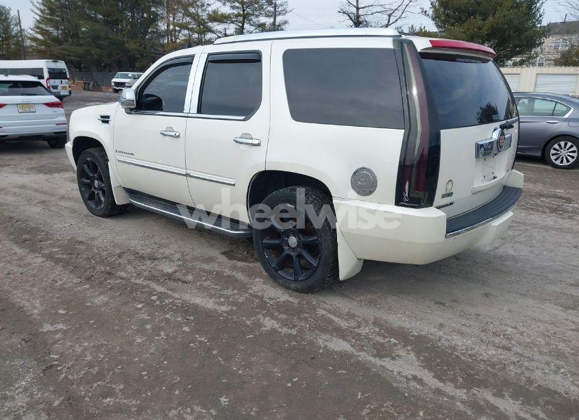 Photo 3 of 2009 Cadillac Escalade STANDARD (VIN 1GYFK13259R226366)
