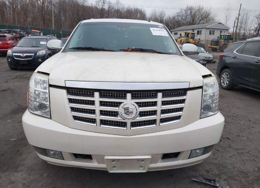 Photo 12 of 2009 Cadillac Escalade STANDARD (VIN 1GYFK13299R119207)