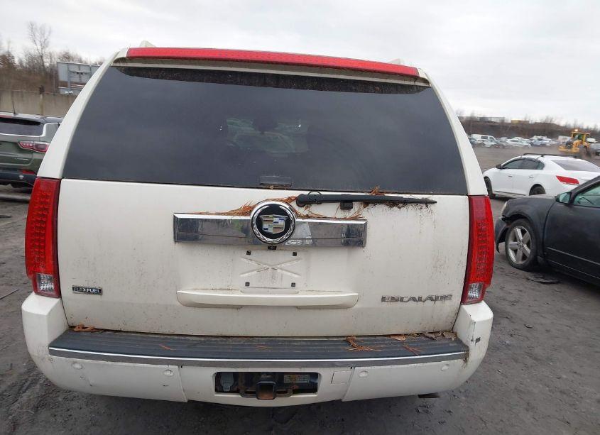 Photo 16 of 2009 Cadillac Escalade STANDARD (VIN 1GYFK13299R119207)