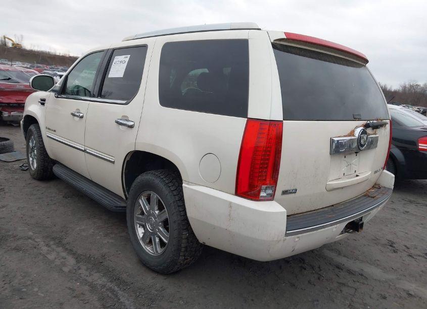 Photo 3 of 2009 Cadillac Escalade STANDARD (VIN 1GYFK13299R119207)